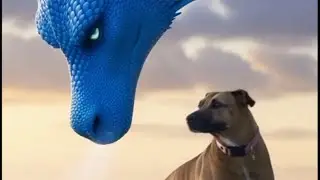 💥Can This Pitbull Save the World?! 🌎 #happythepitbull