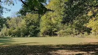 1 Hour Late Summer Park Sounds | Real Birdsong & Nature Sounds for Relaxation & Sleep