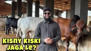Ap Kisko Miss Kr Rahy Ho? 🙂 | Karim's CattleFarm &hearts;️ | AR Maani