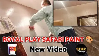 Royal Play Safari Paint Classic New Video 2025 | Wall Painting & Designing | Star Painting