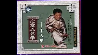 Xin Yi LiuHe style 10 Animals