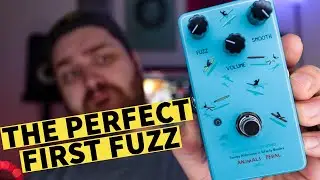 THIS should be your very first fuzz