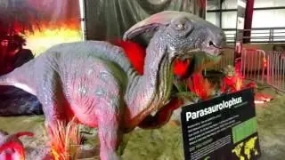 The Jurassic Quest  Trex GIANT DINOSAUR Exhibits Amusement Park Fun Touch BABY DINO Kids Z Fun