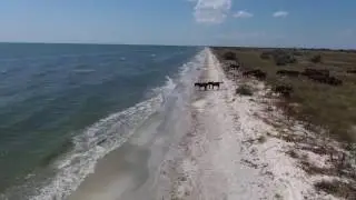 Plaja Perisor Delta Dunarii Marea Neagra jud. Tulcea - August 2016