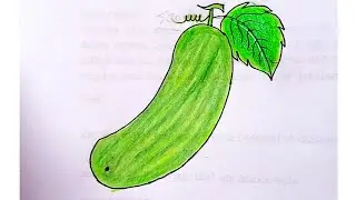Cucumber drawing ideas/ cucumber drawing easy/vegetable drawing for kids/শসা আঁকা/সবজি আঁকা