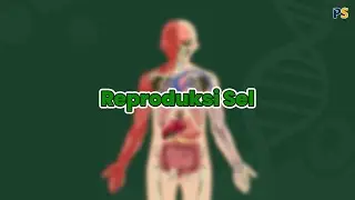 Biologi Kelas 11: Kelainan pada Pertukaran dan Transpor Zat, Reproduksi Sel