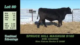 Lot 30: Spruce Hill Magnum 9160