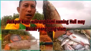 Jackpot sa daming huli at may by bunos pang malaking taywan #fishing #bukatot #pantabangandam
