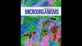 Diversity of Microbial Eukarya | Chapter 18 &ndash; Brock Biology of Microorganisms (16th)