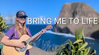 Bring Me To Life - Evanescence (acoustic cover with BEAUTIFUL OCEAN view)
