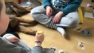&laquo;&nbsp;Jeu de cartes Fort Boyard&nbsp;&raquo; de Lansay