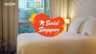 Staycation Review | M Social Hotel Singapore - Alcove Cosy Room, Beast & Butterflies, Rooftop Pool