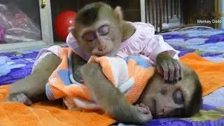 Adorable Dodo Mori Sleeping After Lunch Time So Sweet With New Clothes