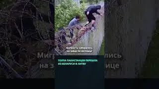 Рекордное число пакистанцев и афганцев пыталось перейти литовскую границу  #беларусь #минск #граница