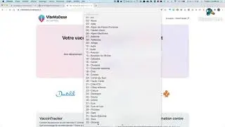Bugfixing lit-element sur ViteMaDose