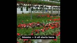 🌿 Step into India&rsquo;s Largest Nursery &ndash; Where Millions of Plants Come to Life! 🌿