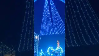 Sursagar Lake #vadodara #gujarat #india #feedshorts #reels #shorts #travel #video #lake #citylife