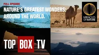 Miracles of Nature:  The Best of Miracles of Nature