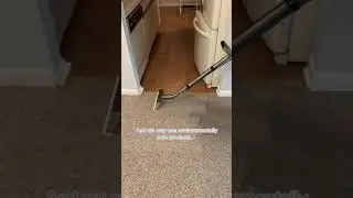 REVIVING OLD CARPETS🫣🤩 My Carpet Cleaning 📍 Chicago #shorts