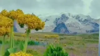 #PeacefulPlace#NatureBeauty#RelaxingViews#CalmNature#NaturePhotography#LandscapeLovers