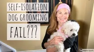 Thinking of you & Sending Love + Self-isolation dog-grooming FAIL??? (Vlog 47)