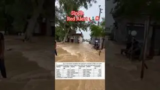 Sindhi City's Flood Alert 📢🚨 #floodinpakistan #newsupdate #pakistan
