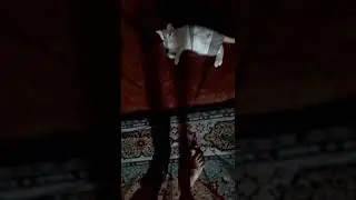 В хлам больная нога (опухоль)