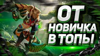 От новичка к топу |NFT Media | Dota 2