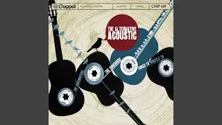 Dust And Guitars