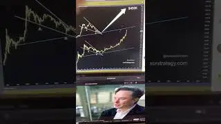 Top 5 TWEETS about CRYPTO! Is BITCOIN at the BOTTOM or not?