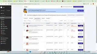 Meesho Order 