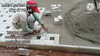 Lahiru garden service #grass #landscape #gardendesigner #interlog #grass #maintananc #plants #pots