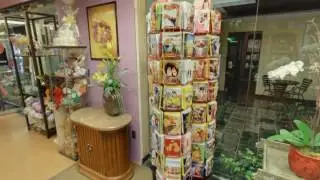Florist Charlotte NC | Charlotte Flowers