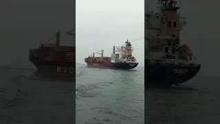 MSC ELSA 3 HOW FAR YOU FROM ALFA BOARDING GROUND. GREEN ISLAND🏝