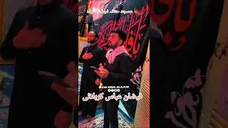 Sada yah Deti Hai zehra s.a  / Faizan Abbas Karbalai / Arbaeen 2025 / Masjid-e-Hannana Najaf (Iraq)