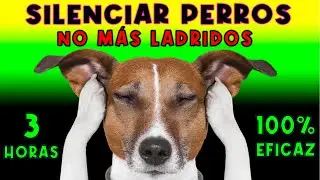 SONIDO REPELENTE DE PERROS ULTRASONICO - AHUYENTA Y CALLA PERROS MOLESTOS