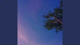 nostalgia loop