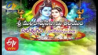 Sri Mallikarjuna Swamy Temple | Saleshwaram | Nagarkurnool District | Teerthayatra | 5th April 2021