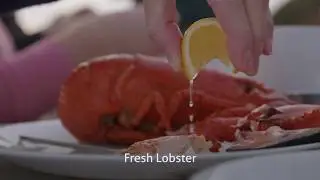 Cape Breton Island Lobster #ExploreCB