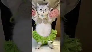 Чипи Чипи Чапа Чапа ULTIMATE MEME REMIX MASHUP