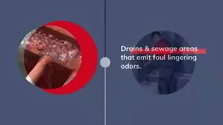 Expert Drain Cleaning & Rooter Services in Phoenix, AZ | Simon's Plumbing