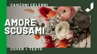 Amore scusami - Canzoni celebri con testo