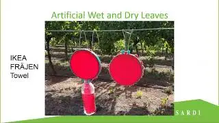 Smart phone assessment of water stress in vineyards