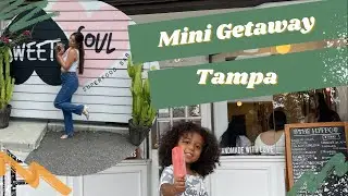Tampa + coffee + local