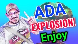 Cardano Explosion || Ada Price Prediction! Cardano Today Updates