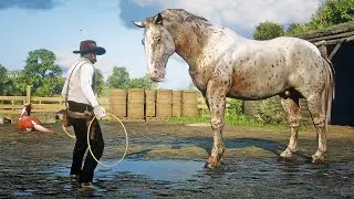 John Marston Tames Uncle Sam’s Huge Horse at Emerald Ranch | RDR2