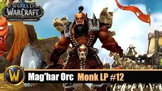Mag'har Orc Monk LP #12: Level 100-106 auf nach Legion!