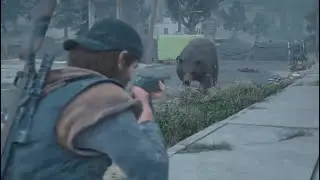Days Gone - Bear Boss Fight - Survival II - PS5 Gameplay