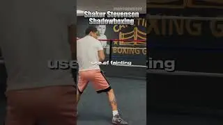 This is why Shakur Stevenson is The most defensive fighter in boxing