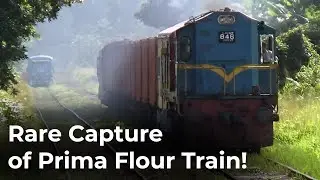 Rare Capture of Prima Flour Train with Class M8 846 in Sri Lanka Railways
